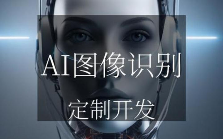 AI人工智能机器学习模型部署yolo视觉识别训练